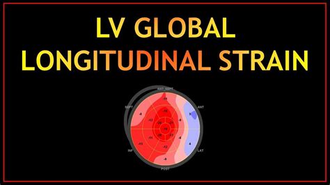 global lv|lv global longitudinal strain meaning.